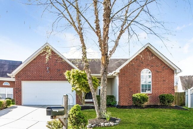 Building Photo - 102 Rushing Water Ct