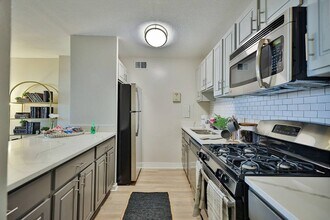 ReNew Mt. Vernon photo'