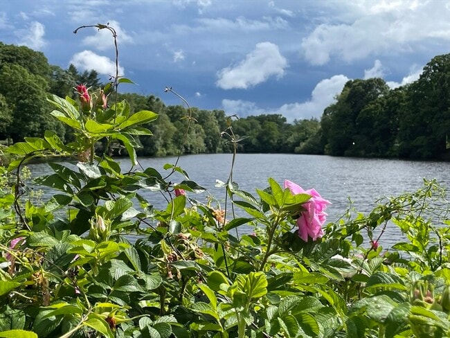 Foto del edificio - 108 Dexter Rd