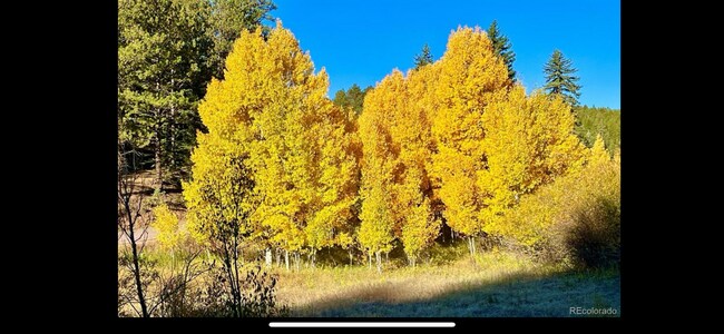 Foto del edificio - 12191 Tecumseh Trl