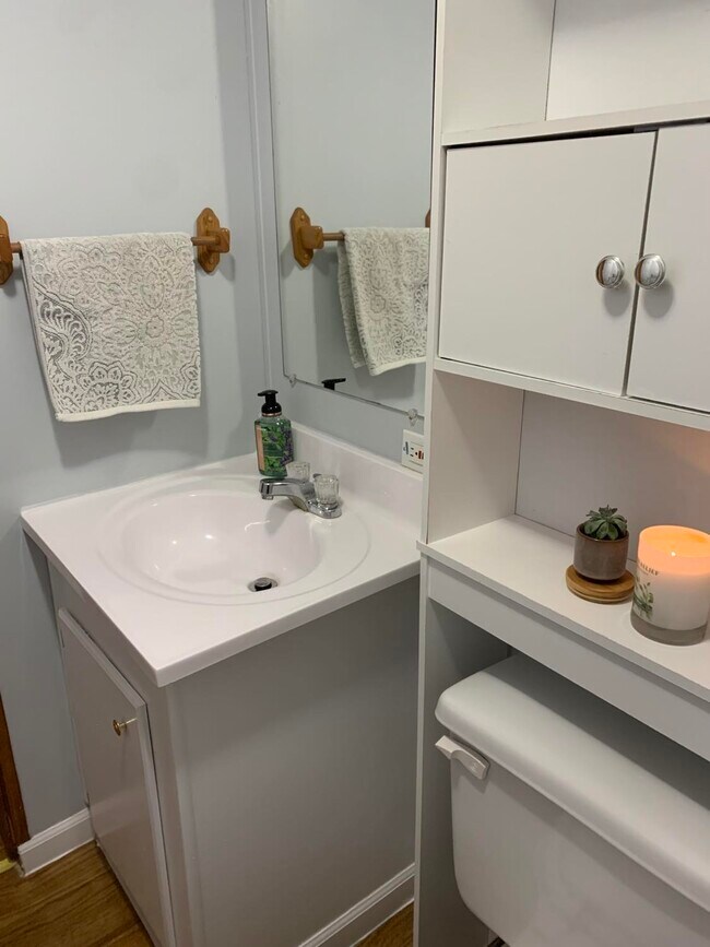 Hall Bathroom - 5229 Marietta Rd SW
