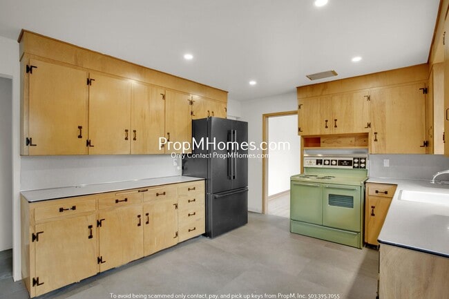Building Photo - Gorgeous 4 Bedroom Mid-Century Modern in SW!