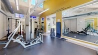 Located at 2925 Monument Blvd in Concord, CA, this fitness center offers a well-appointed exercise space designed to support a comprehensive workout experience. The room features soaring vaulted ceilings with exposed white beams, lending an open and airy feel that makes the space feel larger than its footprint suggests. Bold yellow accent walls adorned with motivational quotes add energy and character to the environment.

The cardio zone is positioned along a wall of large windows that frame views of an outdoor pool and lush landscaping, flooding the area with natural light. Treadmills and elliptical machines are arranged to take full advantage of these views. Multiple flat-screen TVs are mounted throughout the room, keeping exercisers entertained during workouts.

The strength training area is equally well-equipped, featuring a power rack, adjustable benches, a cable machine, a dumbbell rack, and a medicine ball station. Large wall mirrors extend the visual space while allowing users to monitor their form. Durable rubber flooring covers the entire space, providing safety and comfort underfoot.

Ventilation is supported by industrial-style exposed ductwork and a mounted fan, ensuring comfortable air circulation. French doors provide easy access to the outdoor areas, completing a functional and motivating fitness environment.