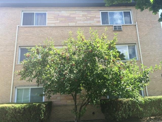 Primary Photo - 9009 Skokie Blvd