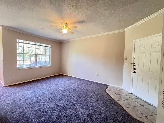 Building Photo - Spacious 1/1 condo!
