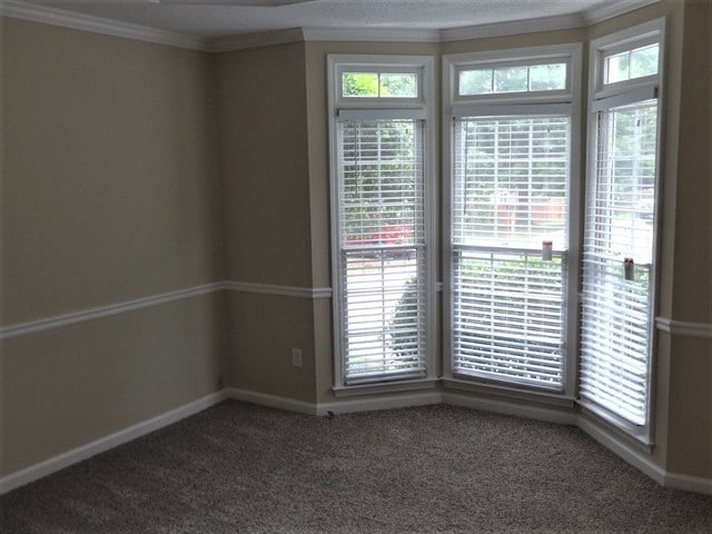 Building Photo - 1501 Jade Cove Dr