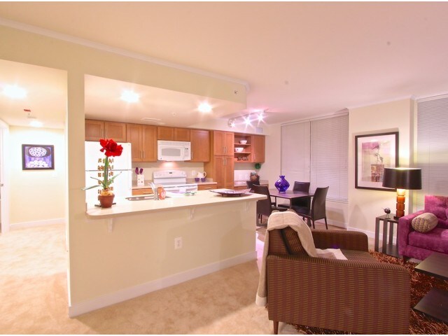 2 Bedroom Apartments In Arlington Va Exterior Interior Custom Decorating 2 Bedroom Apartments In Arlington Va Exterior Interior Custom Decorating