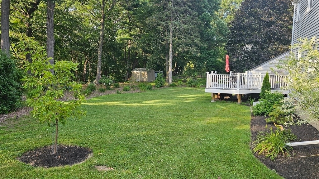 Primary Photo - 3 Hiawatha Rd