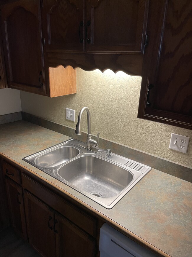 Kitchen counter and dual sink - 217 SW Pinetree Ln