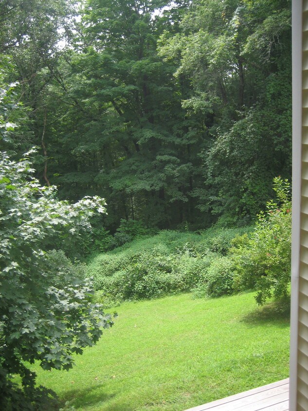 124 Petty Plain Rd, Greenfield, MA 01301 Apartments in Greenfield, MA