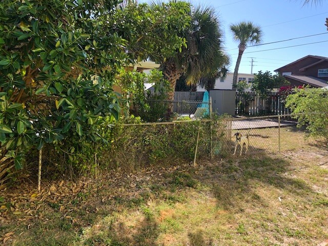 Shaded backyard - 409 Tyler Ave