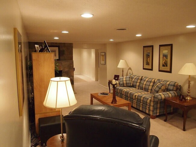 sótano - 3065 Shelley Lynn Dr