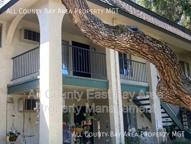 Building Photo - 1045 Catalina Dr