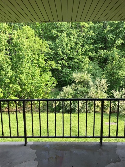 Rear patio and view - 1205 Chelmsford Cir