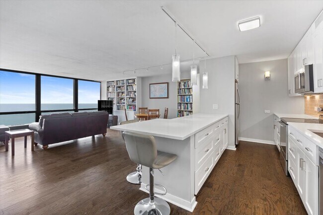 Foto del edificio - 900 N Lake Shore Dr