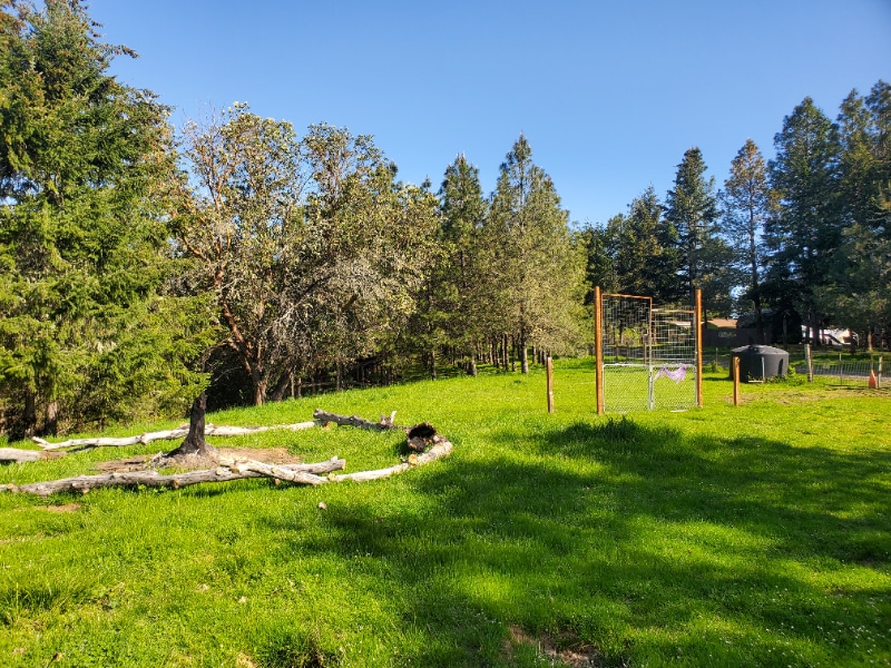 Primary Photo - 1301 Mustang Dr