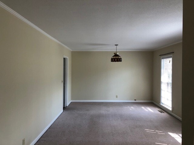 Building Photo - 1002 Selkirk Dr