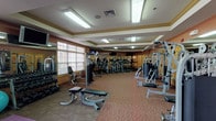 This fitness center offers a thorough and well-organized workout environment spread across a single floor. The space is defined by warm terracotta-toned walls accented with gold crown molding, patterned carpeting, and a coffered ceiling with recessed lighting panels that provide consistent, even illumination throughout. Large multi-pane windows line the perimeter walls, inviting abundant natural light and offering views of the surrounding greenery, creating an open and energizing atmosphere. The cardio zone features a row of treadmills and elliptical trainers, while the strength training area is outfitted with multiple cable and weight machines suited for a full range of muscle groups. A dedicated free weights section includes a well-stocked dumbbell rack, workout benches, and stability balls, alongside yoga mats for stretching and flexibility work. Wall-mounted flat-screen televisions are positioned throughout for entertainment during workouts. Large glass-paned French doors lead to an adjoining space and contribute to the facility's airy, connected feel. Full-length mirrors expand the visual depth of the room and allow users to monitor their form. The overall ambiance is clean, functional, and welcoming, making this fitness center a versatile space for a wide range of exercise routines.