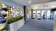 This fitness center offers a well-appointed, single-floor layout designed to support a full range of exercise activities. The space is divided into distinct workout zones, providing dedicated areas for both cardio and strength training. The cardio section features multiple treadmills and additional aerobic equipment positioned near large windows that allow ample natural light to fill the room, creating an open and motivating atmosphere.

The interior design stands out with bold, contemporary artistic elements. A striking decorative wall displays a geometric pattern of colored circles in yellow, white, and metallic tones, while a textured stone accent wall adds architectural depth and visual contrast. A vibrant mural and a unique planetary ring-shaped light fixture suspended from the ceiling serve as eye-catching focal points throughout the space.

Soft grey carpeted flooring in the main exercise area transitions to warm hardwood tones in the adjacent stretch and functional training zone, where stability balls and additional equipment are accessible. Recessed lighting and modern pendant fixtures ensure even, comfortable illumination throughout. A planter with lush greenery adds a refreshing, natural touch to the environment. Overall, the fitness center combines practical functionality with a thoughtfully designed aesthetic, creating an inviting and energizing space for all levels of fitness activity.