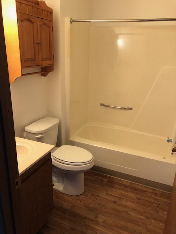 Bathroom - 307 N Ann St