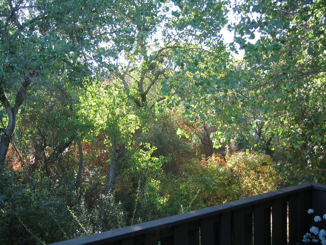 Deck - 43 Massolo Dr