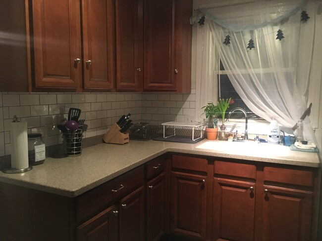 Kitchen - 203 Hillside Ave