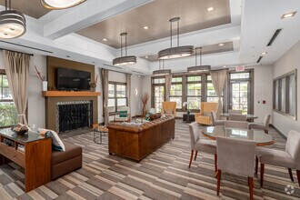 Interior Photo - Palmer View