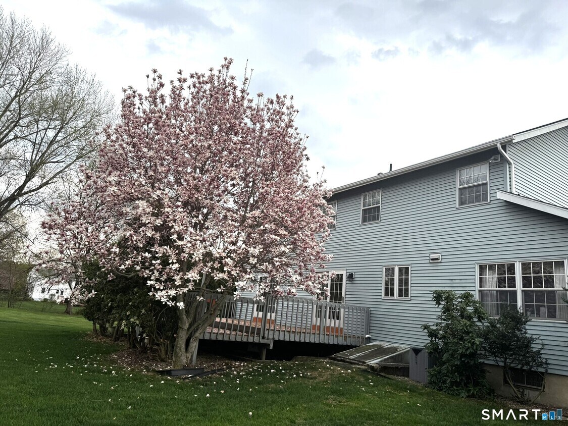 Building Photo - 81 Mark Dr