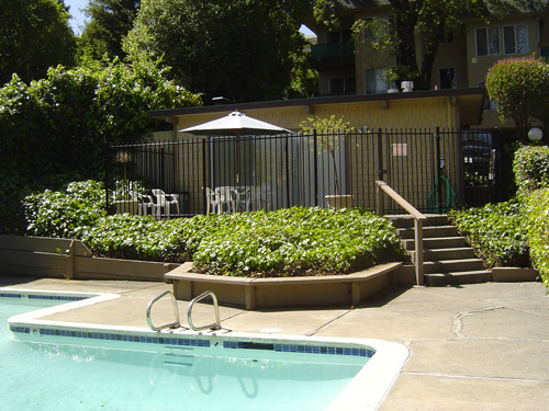 Piscina - Gerstle Park Apartments