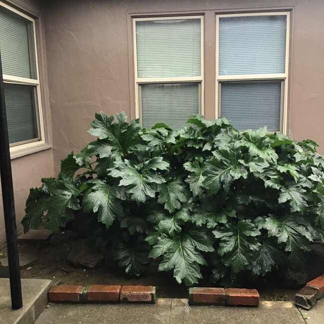 Building Photo - Cute 2 Bedroom 1 Bath in Yuba City!