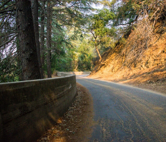 Winding road through Franklin Canyon Park