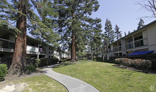 Building Photo - Amberwood Garden Apartments