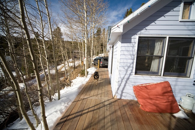 South facing deck - 2 Nelson St