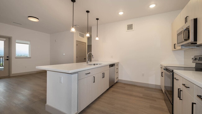 Kitchen and Living Area with Hard Surface Flooring - Solana Beeler Park