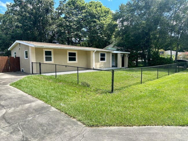Foto del edificio - Large Renovated 4/2 by USF Available Now!