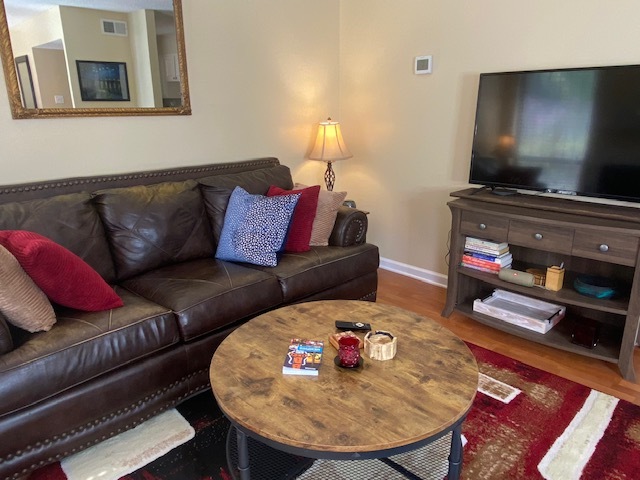 Living Room - 3976 Grahamdale Cir