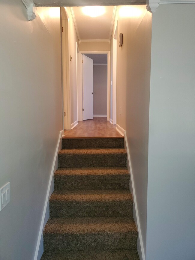 Foto del edificio - 117 Mitchell Ln