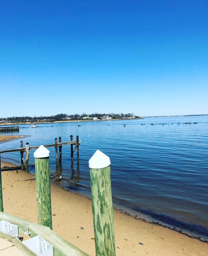 180 degree panoramic bay view from back deck - views of sailboats, bridges and NYC - riparian rights to moor your boat - 55 1st St, Apt 1