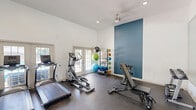 Located at 1740 Woodbrook Trail in Alabaster, Alabama, this dedicated exercise room delivers a well-equipped fitness experience within a thoughtfully designed single-room layout. The space features soaring vaulted ceilings that lend an open, airy feel, complemented by recessed lighting and a ceiling fan that ensures comfortable airflow during workouts. A bold steel-blue accent wall adds a striking visual focal point, contrasting cleanly against the crisp white walls throughout. The flooring consists of durable rubber gym matting, providing safety and support across the entire workout area. A large wall-to-wall mirror along one side visually expands the space and supports proper form during exercise. Cardio equipment includes a treadmill and an elliptical machine, while strength training is supported by an adjustable weight bench, a dumbbell rack, and a variety of free weights. A vertical storage rack holds an assortment of medicine balls, exercise balls, and foam rollers, catering to functional and flexibility training. French doors open to an outdoor area with views of a pool, allowing natural light to flood the interior. Additional windows further brighten the room, creating a welcoming and energizing environment for a comprehensive fitness routine.