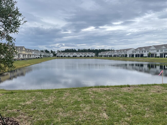 peaceful view of the lake - 12903 Josslyn Ln