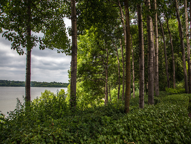 Foto del edificio - Lake Susan Apartments