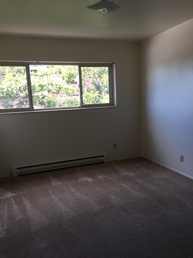 Building Photo - Kelo Apartments - 1 bedroom