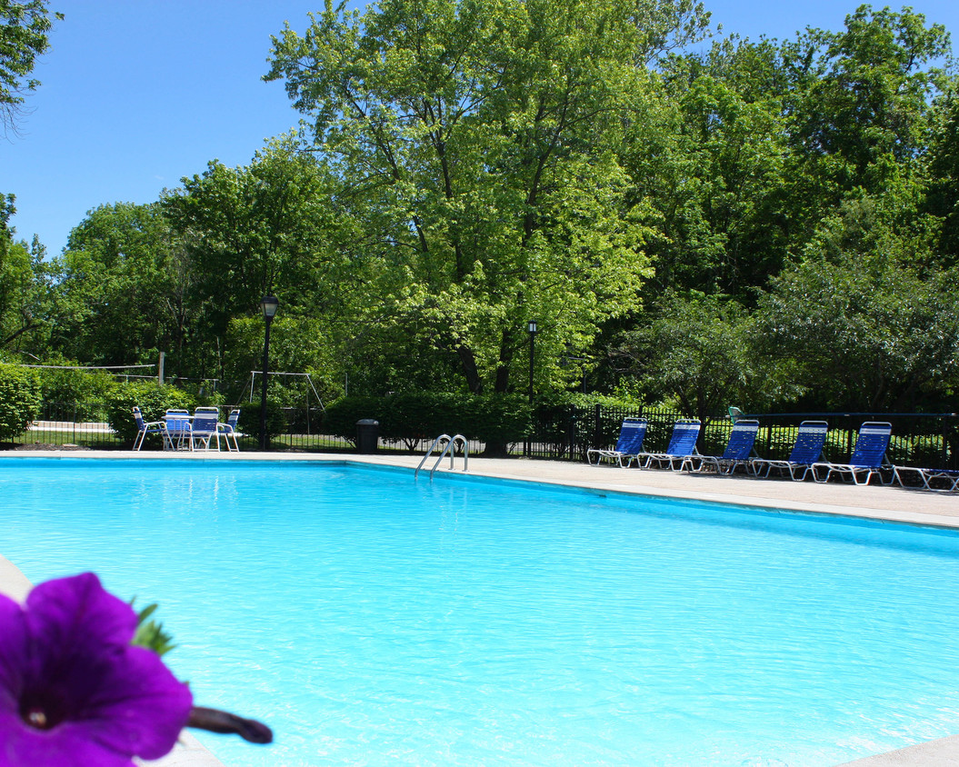 Refrescante piscina - Timber Ridge Apartments