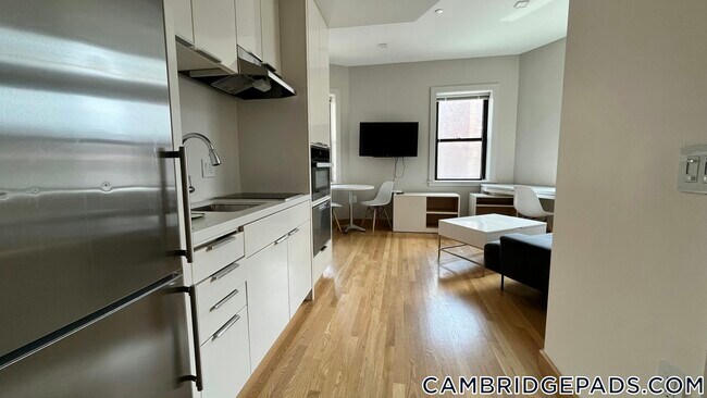 Building Photo - 115 Mt Auburn St