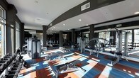 Located at 4625 Fairview Dr in Wilmington, NC, this fitness facility is housed on a single floor and offers a thoughtfully designed workout environment. The space features a striking curved architectural element along the ceiling, finished in a deep charcoal tone that contrasts cleanly with the bright white ceiling and recessed lighting above. Columns positioned throughout the floor plan provide structural definition while maintaining an open, airy feel. Large windows along the perimeter allow generous natural light to filter in, casting dynamic patterns across the floor and contributing to an energizing atmosphere. The flooring is a bold, patterned carpet in shades of blue, red, and white, adding a vibrant visual element to the space. The gym is outfitted with a comprehensive range of strength and cardio equipment, including cable machines, weight benches, rowing machines, and additional resistance training stations. Mirrored walls along multiple sides visually expand the space and support proper form during workouts. The overall ambiance is modern and motivating, combining sleek design details with functional fitness infrastructure to create a well-rounded exercise environment.