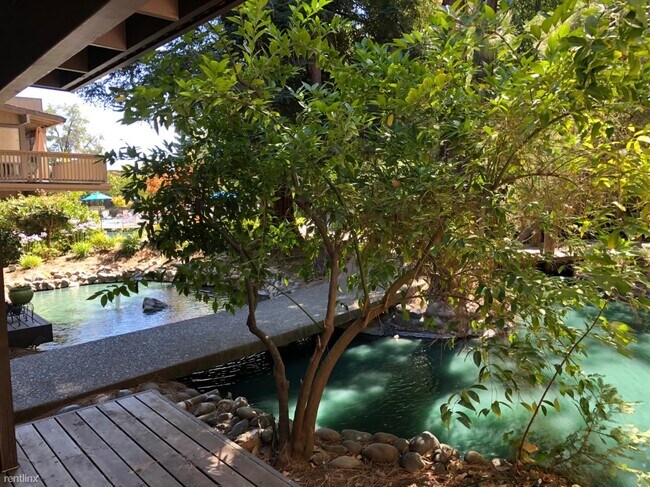 Building Photo - 2 br, 1 bath Condo - 2468 Larkspur Lane 355