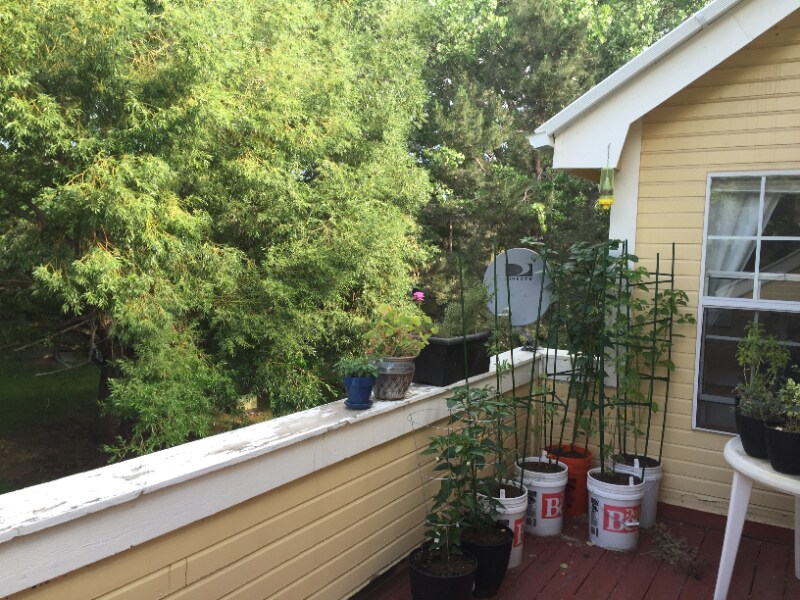 1300 W Stuart St Unit 2, Fort Collins, CO 80526 Condo for Rent in