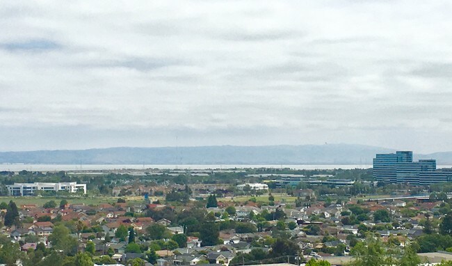 View from living room, bedrooms, and balcony - 300 Davey Glen Rd