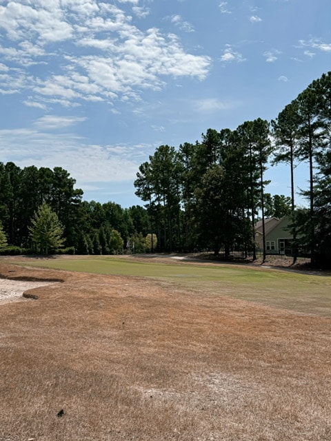 Building Photo - 93 Falconridge Dr