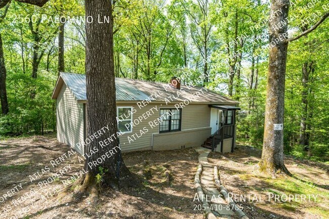 Foto del edificio - 2560 Palomino Ln